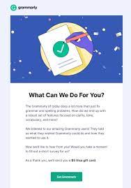 survey email templates and exles for