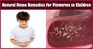 natural home remes for pinworms in
