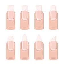 guide to nail shapes spa pura