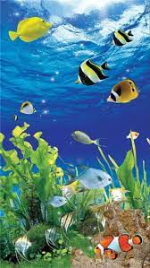 aquarium fish ocean sea tank water
