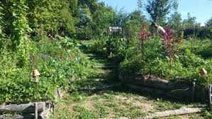 Natural Playground Permaculture Garden