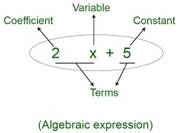 An Algebraic Expression