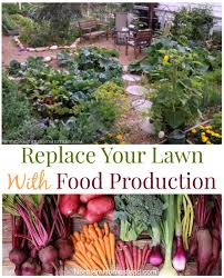 replace your lawn with food ion