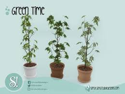 Green Time Potted Plant Large