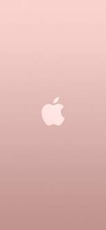 Au15 Logo Apple Pink Rose Gold White