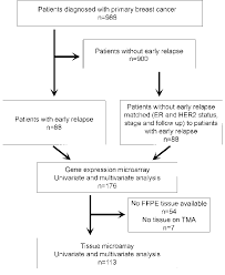 Flow Chart Depicting Patient Selection For The Study Of The
