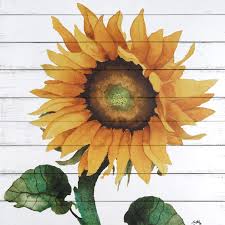 Happy Sunflower Ii Wooden Box Wall Art 15