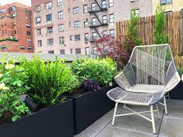 Growing An Apartment Vegetable Garden