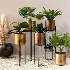 Golden Iron Antique Look Planters For