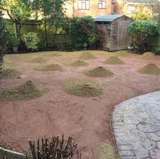 Tools required for artificial grass and turf installation. How To Lay Artificial Grass On Soil Laying Artificial Grass Steps