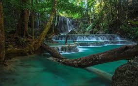 beautiful waterfall rainforest