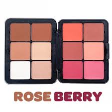 rose berry creamy blush and contour 12