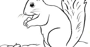 Select from 32084 printable crafts of. Squirrel Coloring Page Art Starts