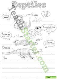 Reptile Worksheet 1