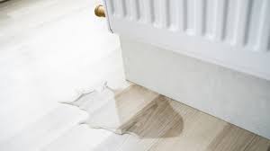 laminate floor has water damage