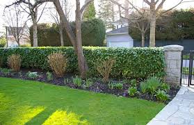 Hedges In The Garden And Landscape
