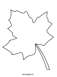 Maple Leaf Drawing Template At Getdrawings Com Free For Personal