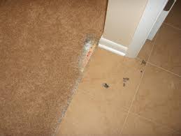 gurnee carpet repair grayslake carpet