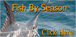 Fish By Season Fin Planner Charters Sport Fishing On The