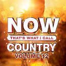 Now That's What I Call Country, Vol. 12