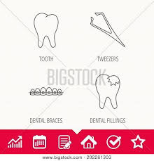 Dental Braces Vector Photo Free Trial Bigstock