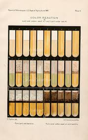 Antique Science Print Color Reaction Test Tube Chart 1889