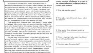Free printable reading comprehension worksheets for grade 1 to grade 5. Printable Grade One Reading Comprehension Worksheets Letter Worksheets