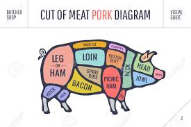 Cut Of Meat Set Poster Butcher Diagram Scheme And Guide Pork