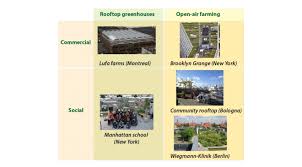 8 Urban Rooftop Farming Typologies