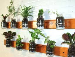 sro diy mason jar herb garden