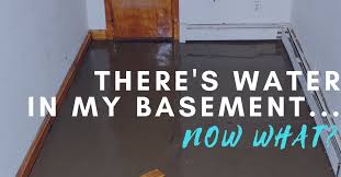 There S Water In My Basement Now What