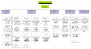 Org Chart Created For A University Organizational Chart