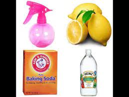 homemade lemon vinegar cleaner you