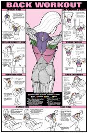 Co Ed Back Workout Professional Fitness Gym Instructional