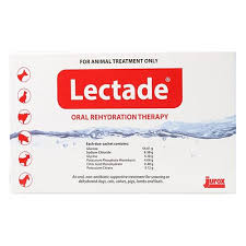 lectade rehydration therapy for