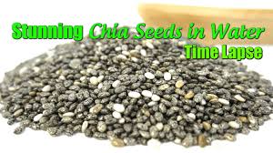 stunning chia seeds in water time lapse