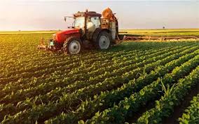 افزایش۲برابری سرمایه صندوق حمایت ازبخش کشاورزی
