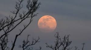 A super pink moon will kick off the last week of april, the first of a trio of supermoons in 2021. Xnljqnvtzriz8m