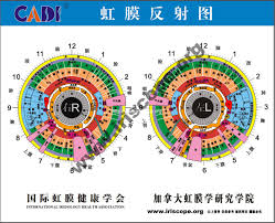 Bernard Jensen Iridology Chart Heres A Quick Way To Get It