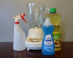 Determine which rooms are infested. Using Horticultural Sprays And How To Make Insecticidal Soap Spray For Plants
