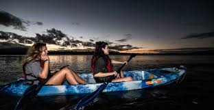 bioluminescent bay kayak adventure