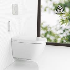 Smart Toilet Tankless Wall Mounted