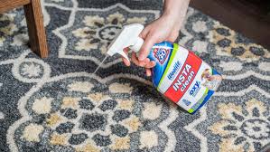 7 best carpet stain removers of 2023