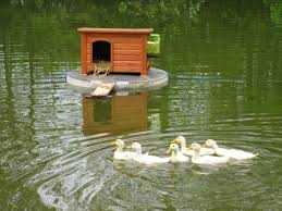 Cut and paint the pieces of wood for each part of the duck house. 16 Best Floating Duck House Ideas Duck House Duck House Plans Duck