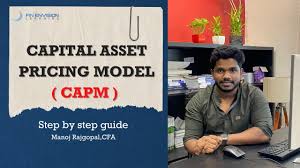 capital et pricing model what is