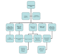 Organization Chart Cambareri
