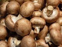 Can stuffed mushrooms cause food poisoning?