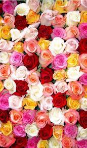 Find the best and most beautiful flower wallpapers and images! Colorful Roses Wallpaper Iphone Best Iphone Wallpaper Flower Background Iphone Rose Wallpaper Vintage Flowers Wallpaper