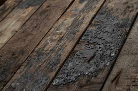 wood rot and your home why prevention