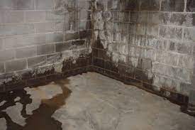 Damp Basement Causes Solutions And